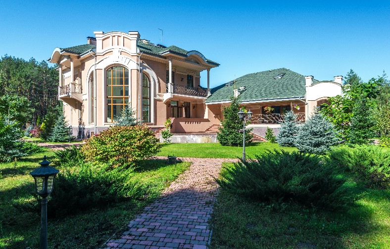 Как вырастить ромашки из семян? Полное руководство 2 Все про сад и огород