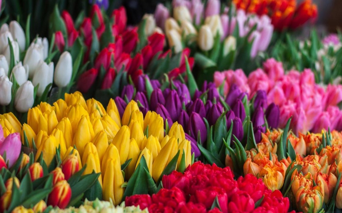 snimok ekrana 13 2 2025 02335 img.pravda.ru