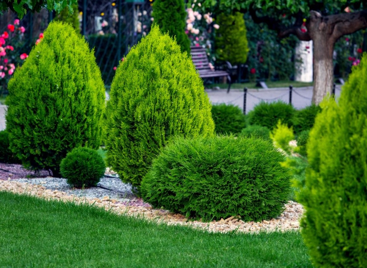 Стильный садовый участок дизайн своими руками 1 садовый участок дизайн своими руками