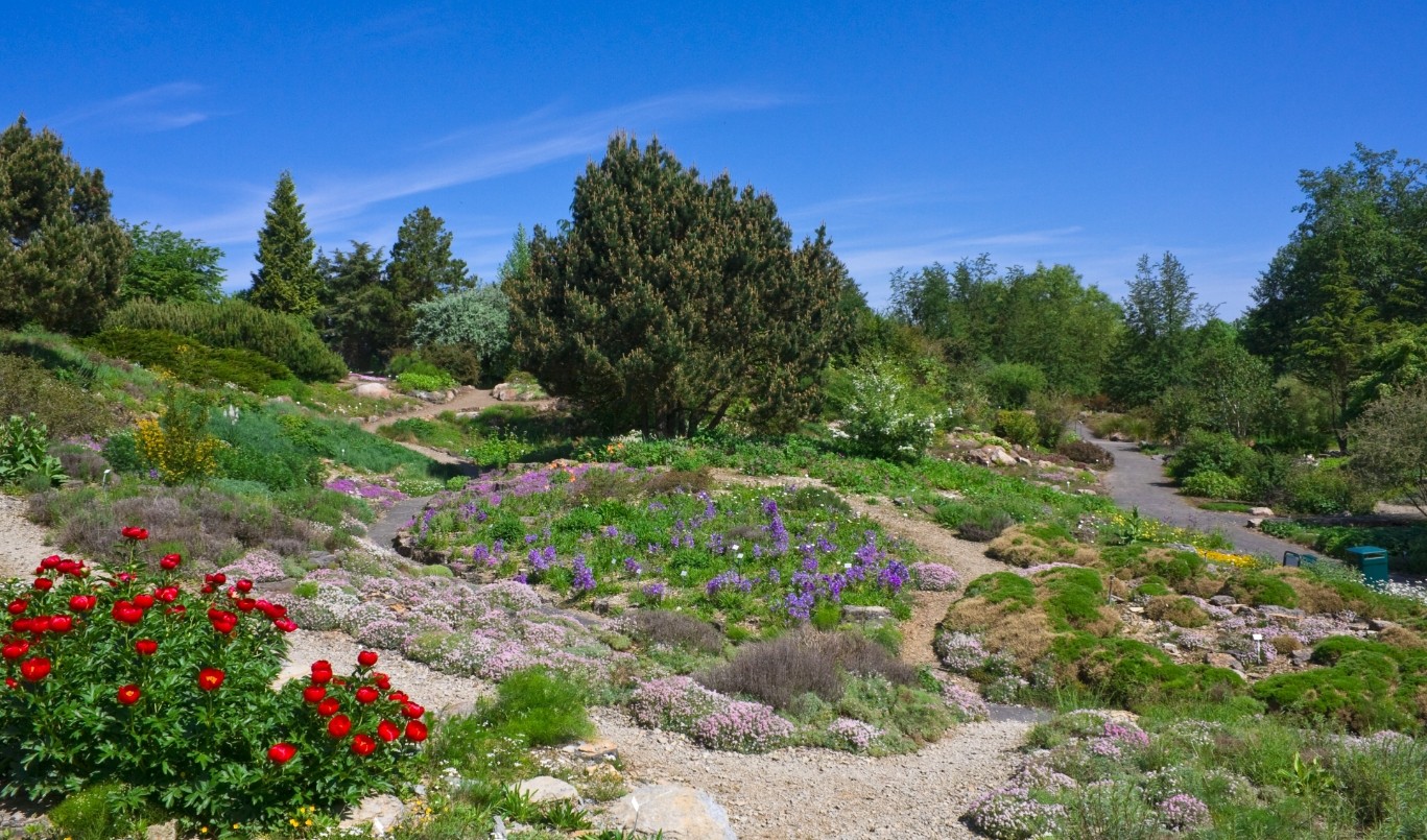 Ландшафтные стили сада: как выбрать идеальный дизайн 4 Как сделать альпийскую горку