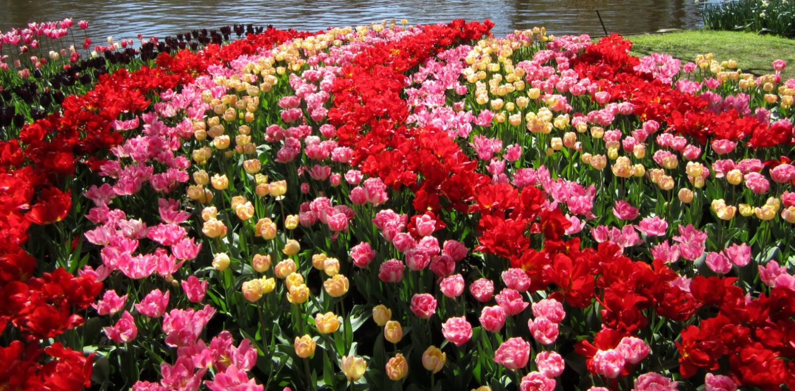 Живописный голландский сад на Вашем участке 5 голландский сад