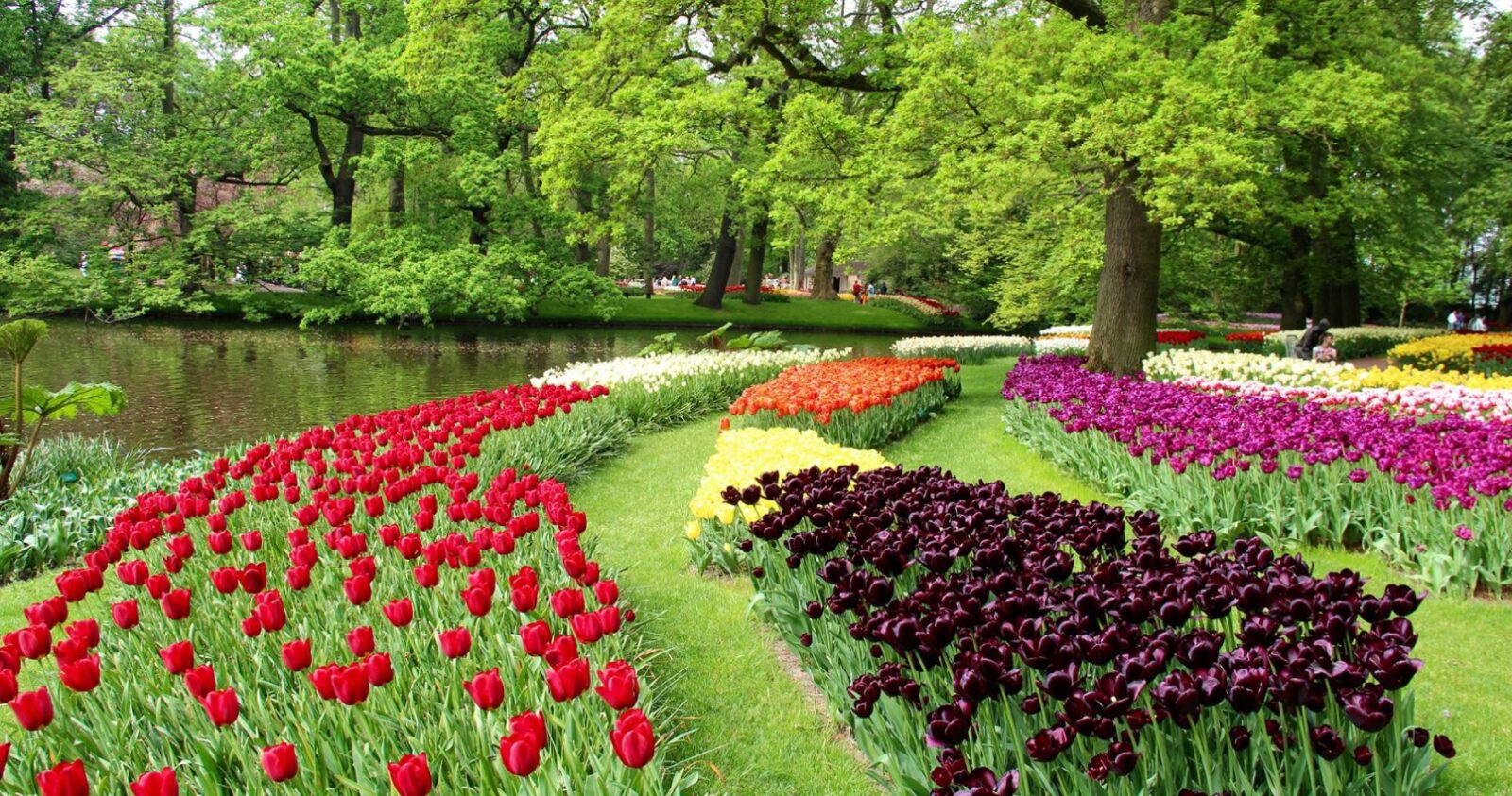 Живописный голландский сад на Вашем участке 1 голландский сад