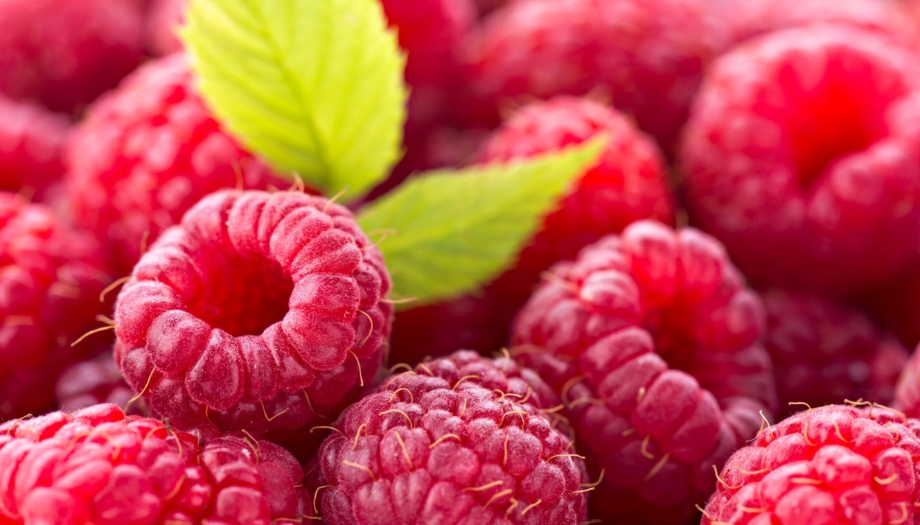 Как вырастить малину на даче? 10 Как вырастить малину на даче