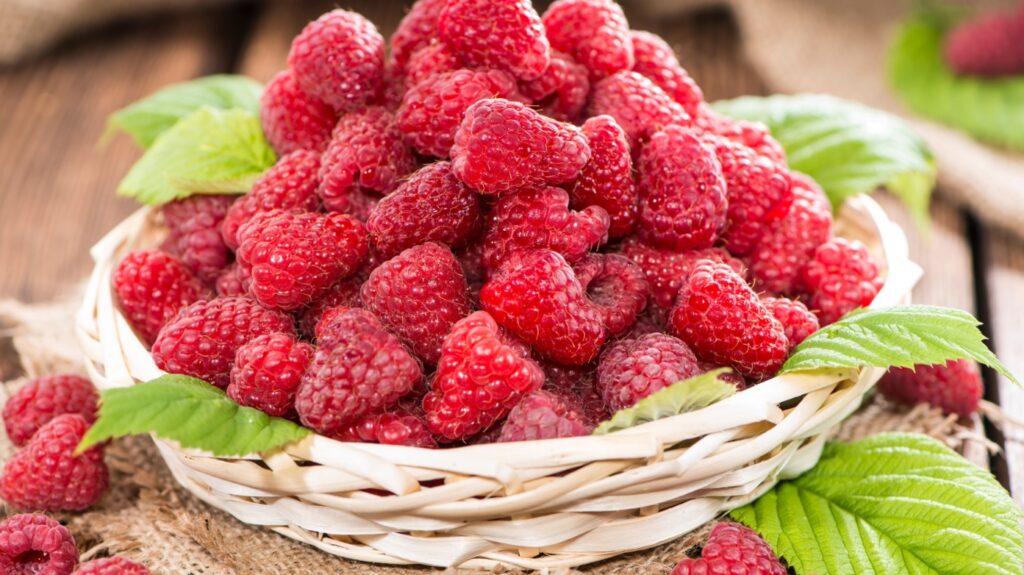 Как вырастить малину на даче? 1 Как вырастить малину на даче